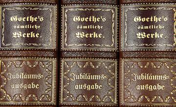 Leder Dekor-Paneele Buch Optik