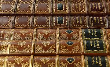 Leder Dekor-Paneele Buch Optik