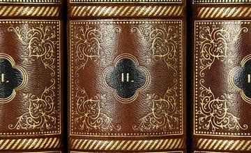 Leder Dekor-Paneele Buch Optik