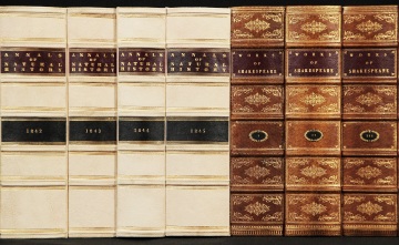 Leder Dekor-Paneele Buch Optik