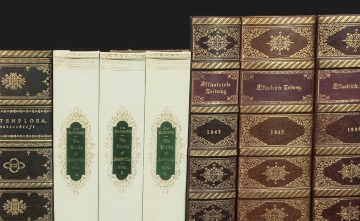 Leder Dekor-Paneele Buch Optik