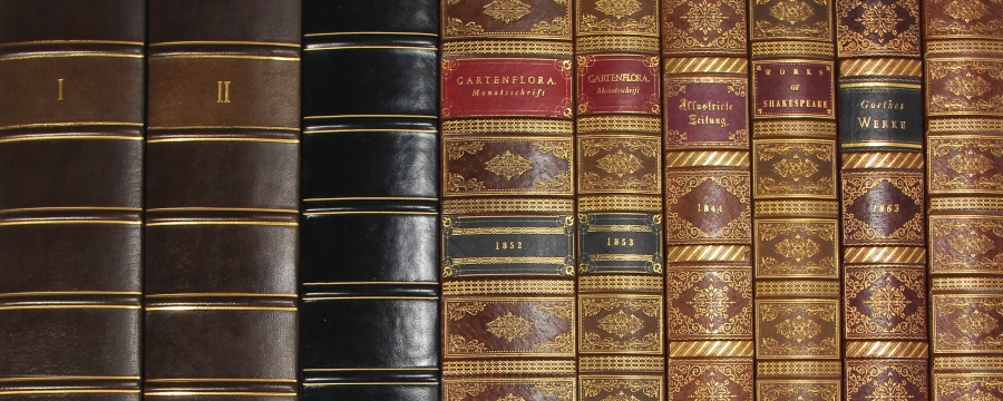 Buchrücken Leder Dekor-Paneele Buch Optik