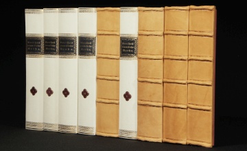 Leder Dekor-Paneele Buch Optik